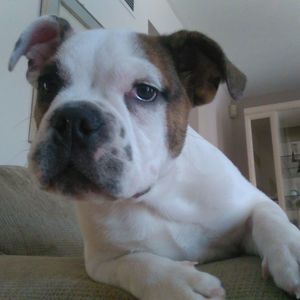 Meet your Posher, Carol